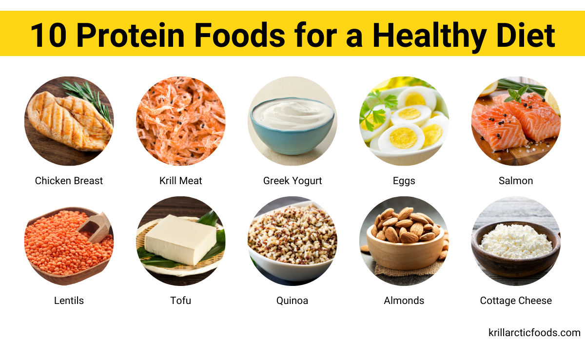 Top 10  Protein Foods for a Healthy Diet