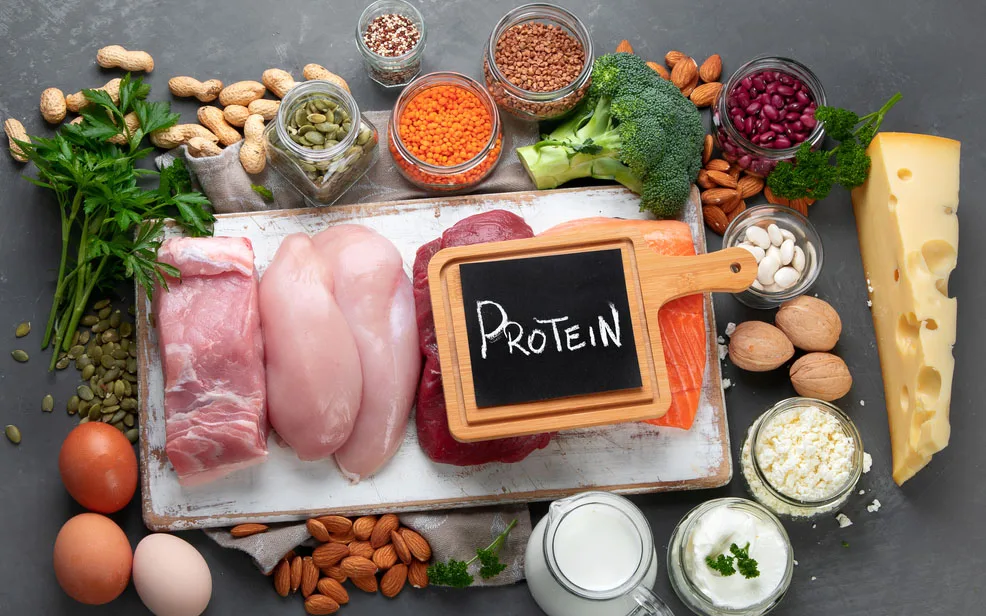 High Protein Foods