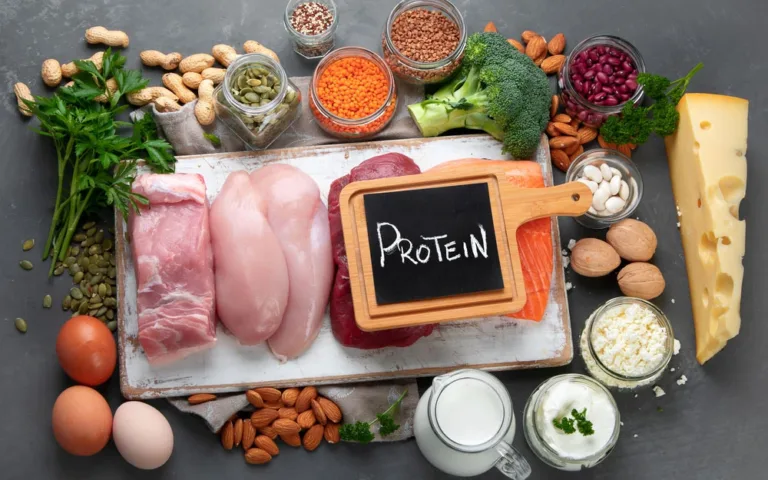 A graphic depicting protein's role as a fundamental nutrient essential.