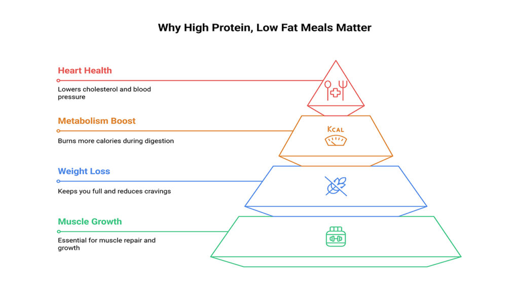 Lower cholesterol, blood pressure; burn calories; promote satiety; support muscle repair.