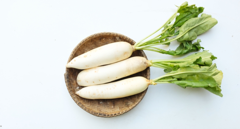 Daikon Radish