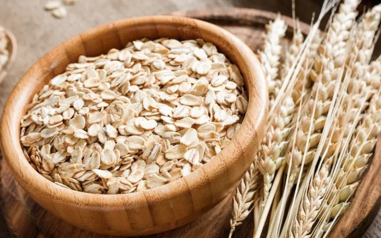 A bowl of oats highlighting their rich protein and fiber content.