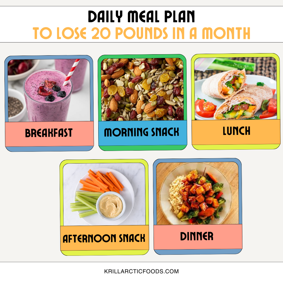 Daily Meal Plan to Lose 20 Pounds in a Month