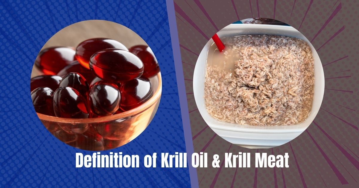 Definition of Krill Oil & Krill Meat