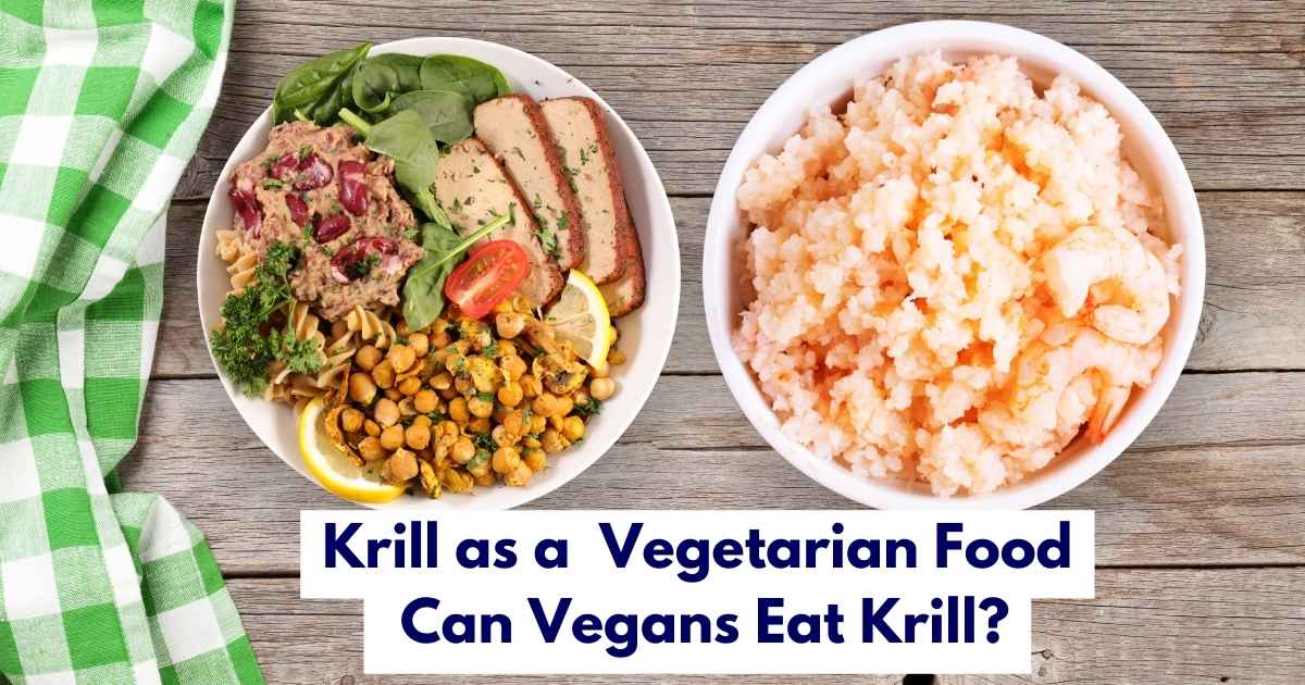 Krill as a Vegetarian Food Can Vegans Eat Krill