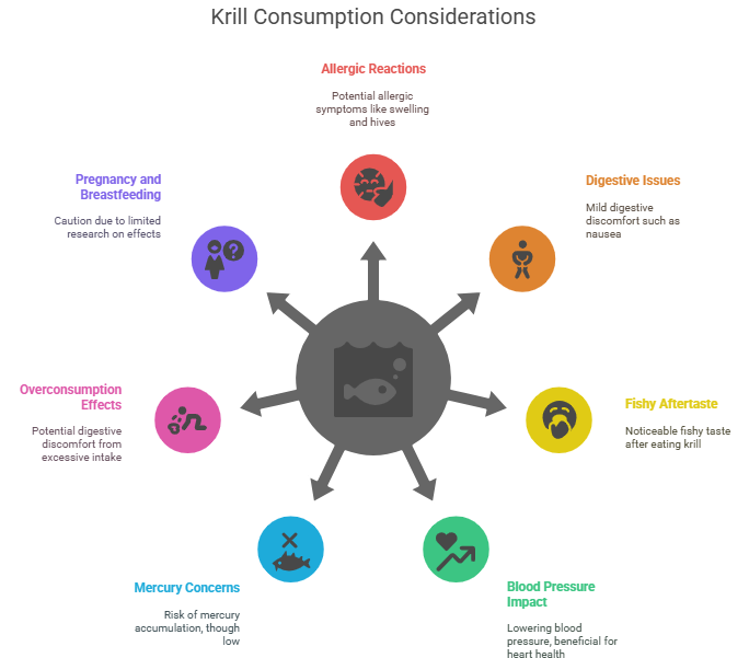 Potential-Side-Effects-and-Precautions-of-Krill