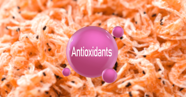 astaxanthin-antioxidant-krill