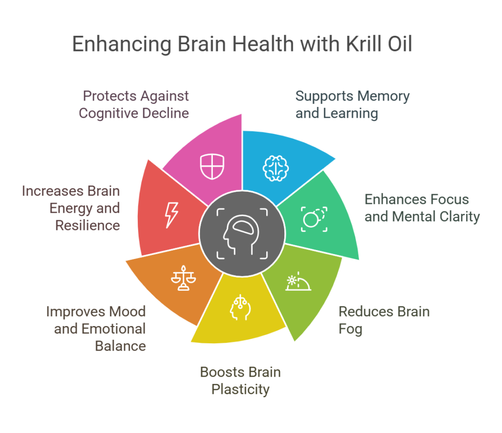 Benefits of Krill Oil for Brain Health 