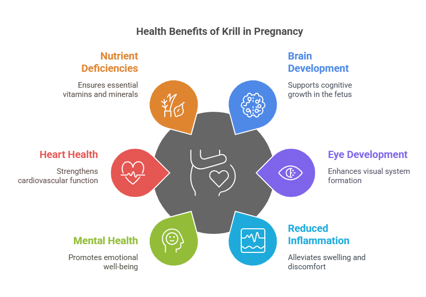 Benefits of Krill in Pregnancy