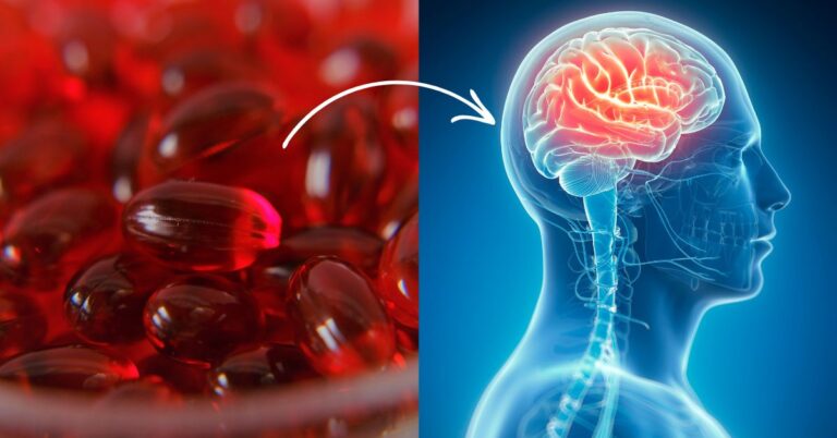 Krill Oil and Brain Health