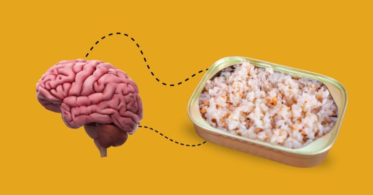 Krill’s Role in Brain Health