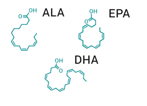 Types of Omega-3s