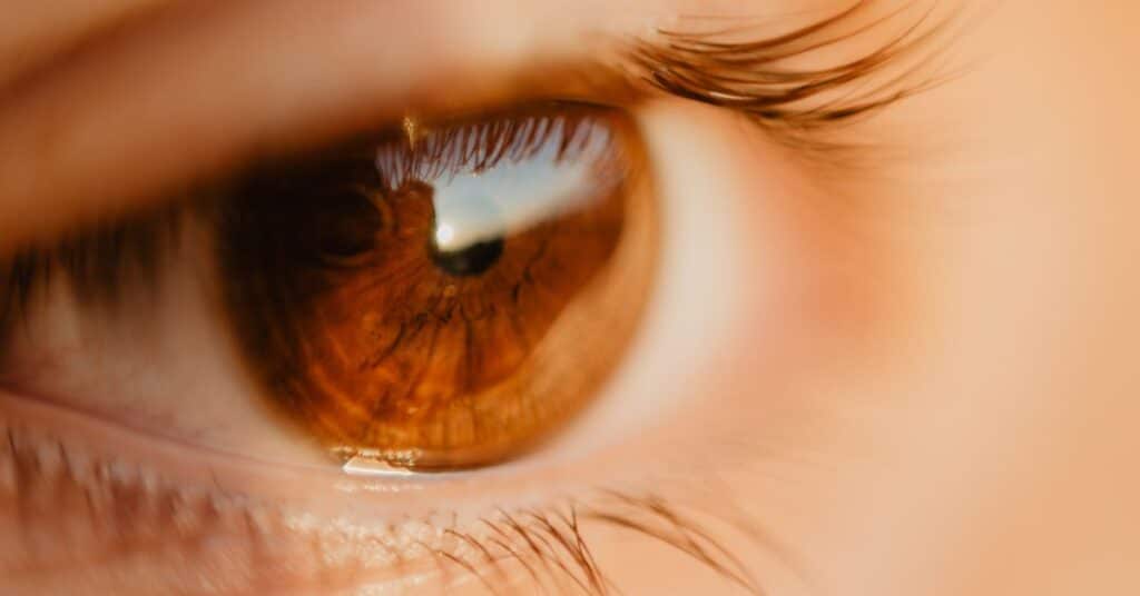 Ways Astaxanthin In Krill Supports Eye Health