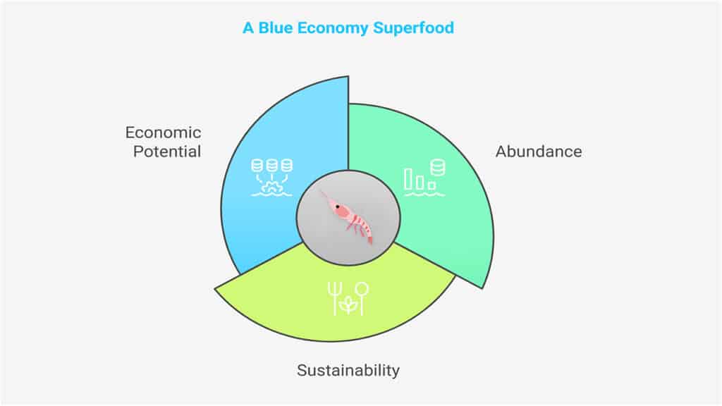 Krill: A Blue Economy Superfood