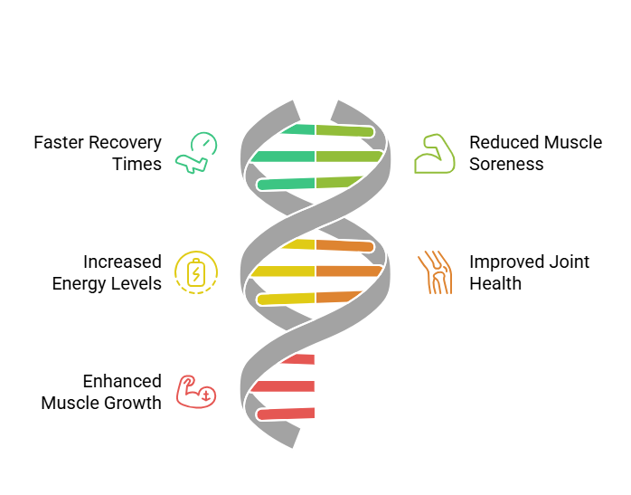 Benefits of Omega-3s from Krill for Recovery