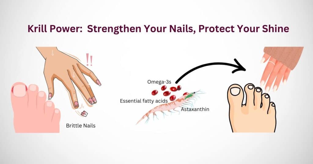 Brittle Nails That Break Easily? Krill Strengthens and Protects