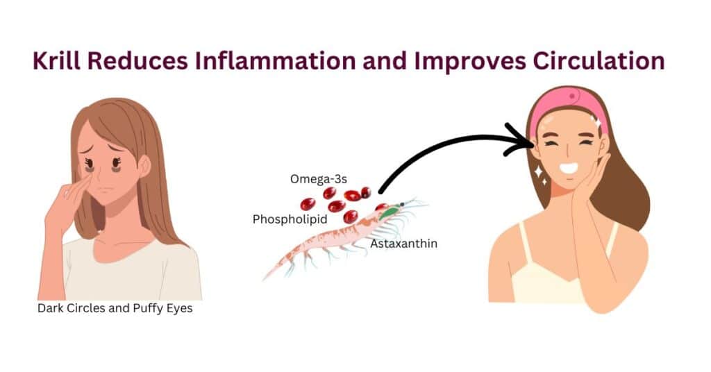 Dark Circles and Puffy Eyes? Krill Reduces Inflammation and Improves Circulation