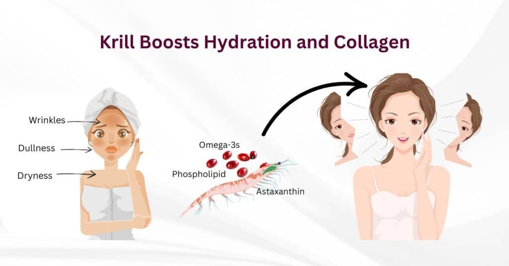 Dull, Dry Skin and Wrinkles? Krill Boosts Hydration and Collagen