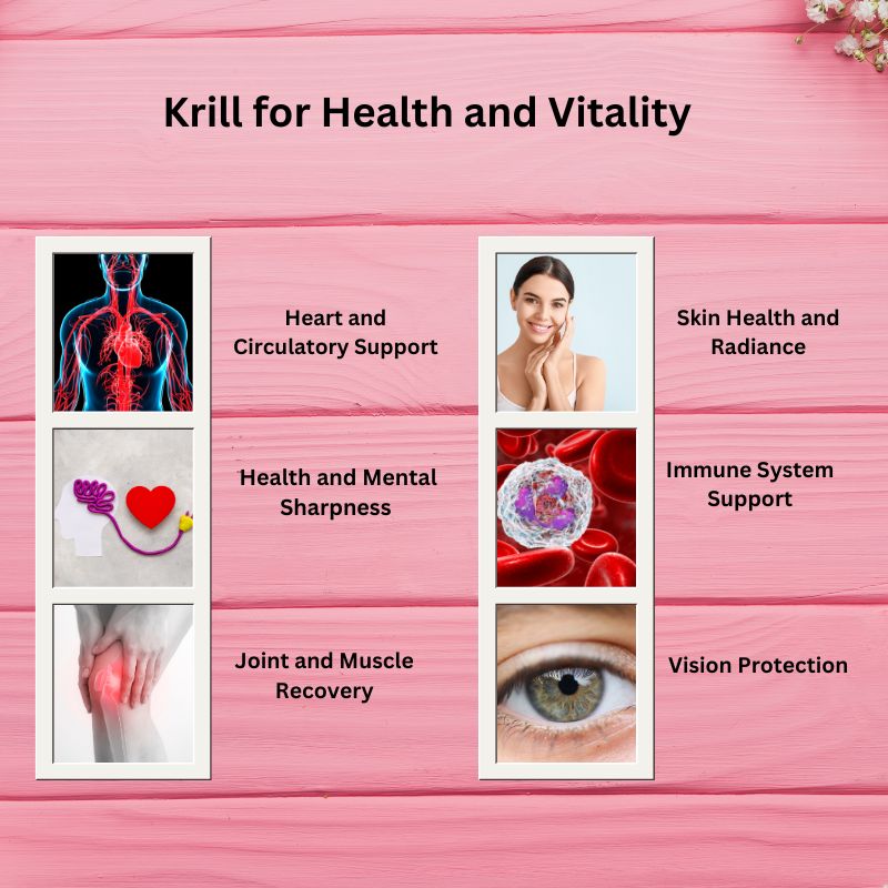 Exceptional Health Benefits of Krill