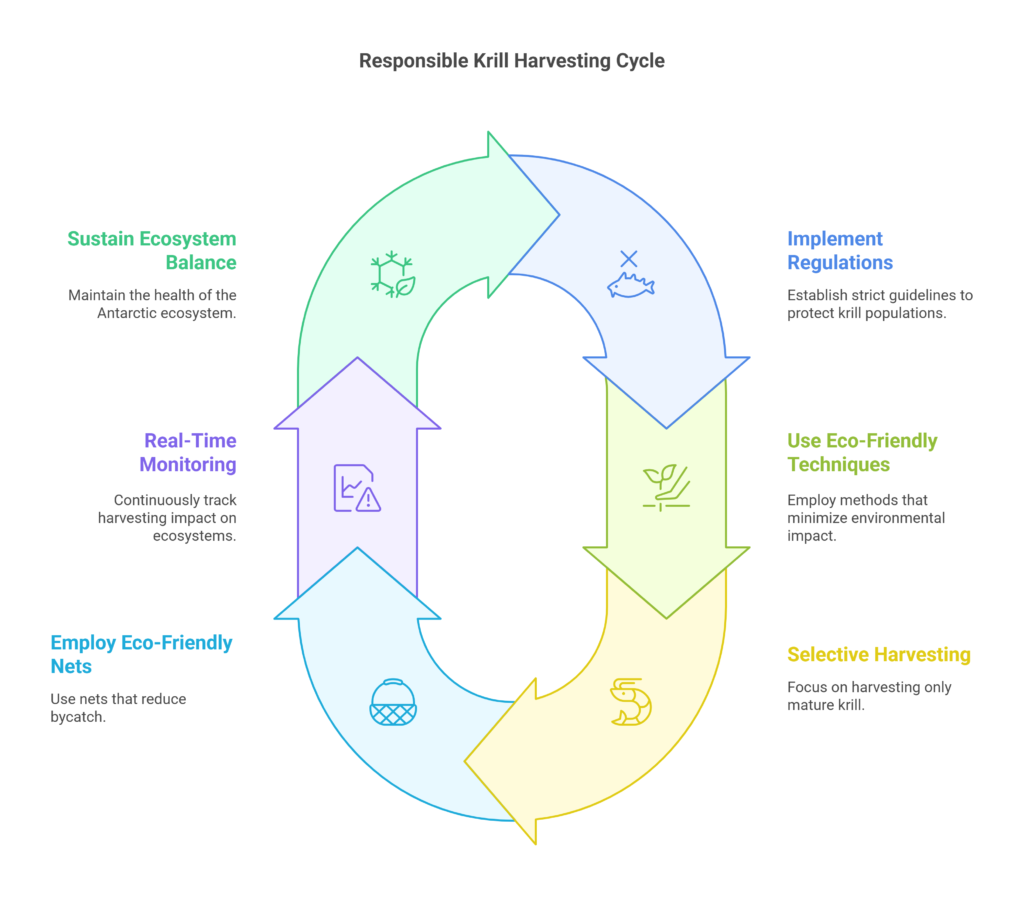How Krill Is Responsibly Harvested