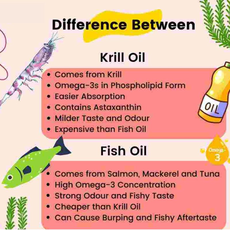 How to Choose Between Krill Oil and Fish Oil