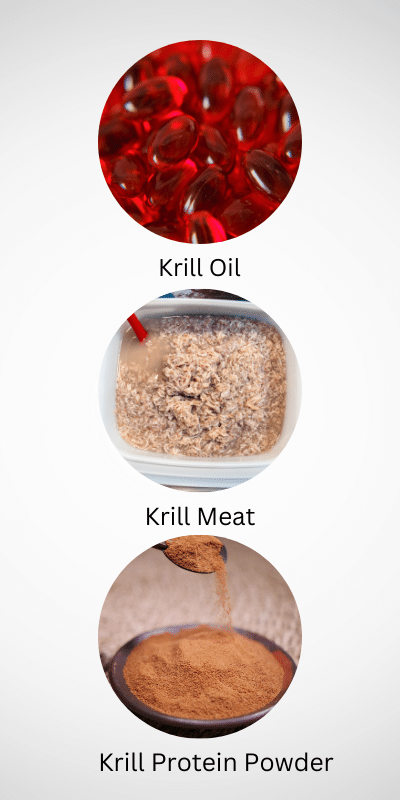 How to Incorporate Krill into Your Daily Routine