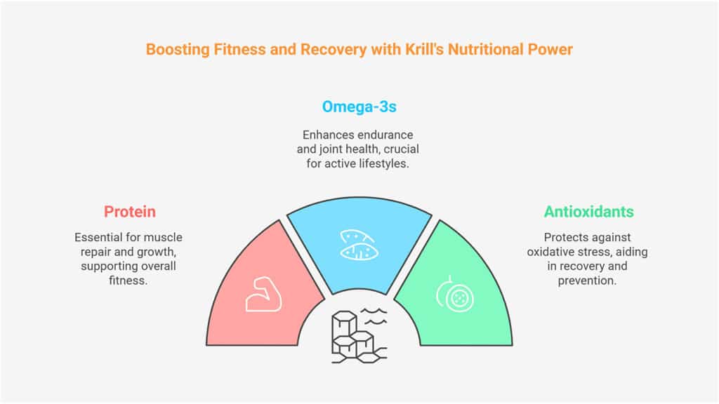 How Krill Supports Fitness and Muscle Recovery