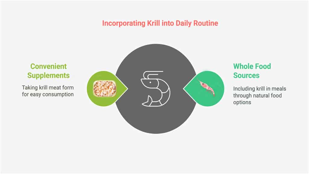 How to Incorporate Krill into Your Daily Routine