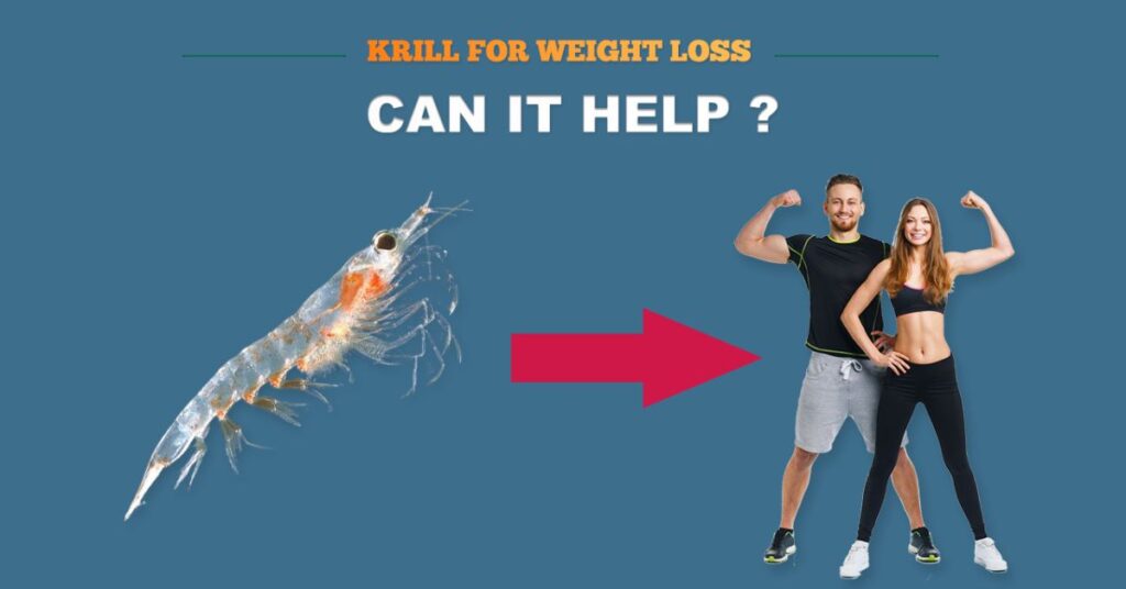 Krill and Weight Loss: Can It Help?