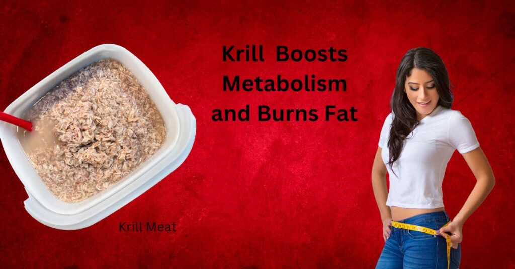 Krill and Weight Loss Can It Help 