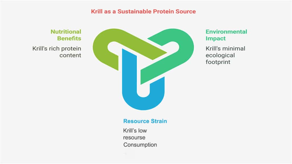 Why Krill Is a Sustainable Protein Choice