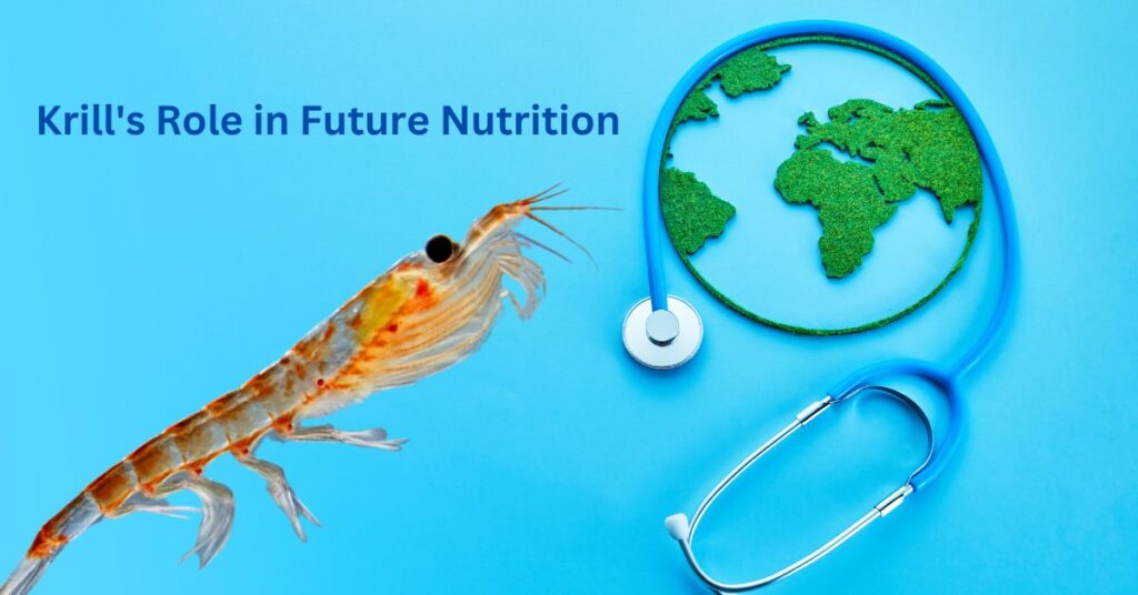 Why Krill Is the Future of Global Health and Sustainable Nutrition