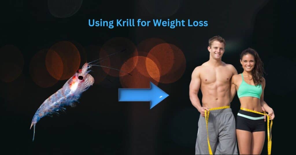 The Biggest Challenges in Weight Loss – and How Krill Helps