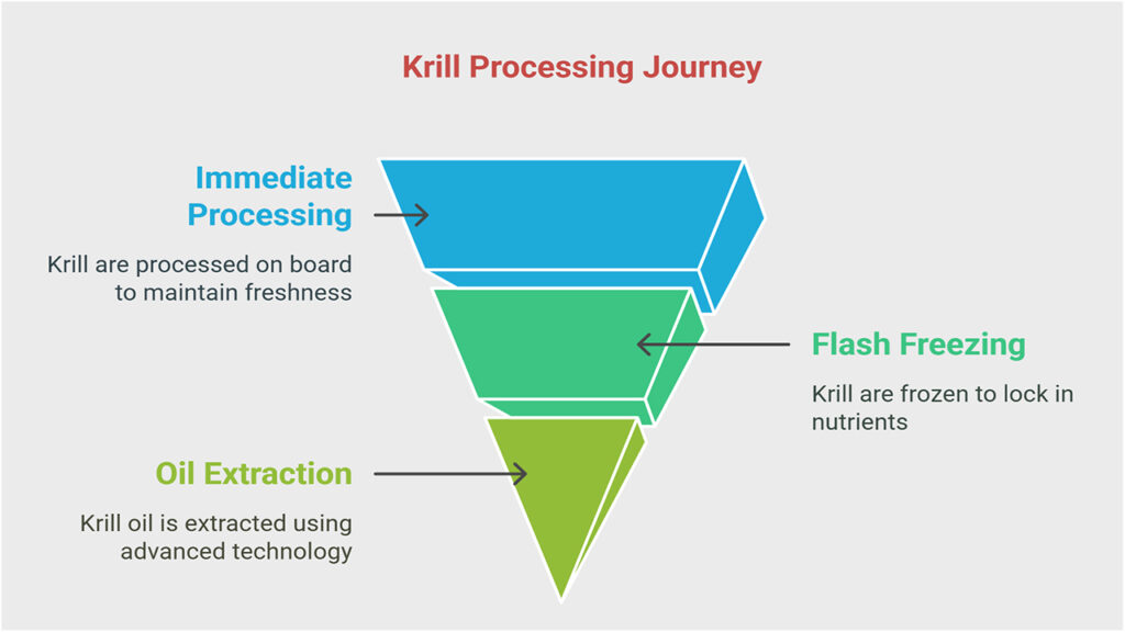 From Antarctic Waters to Your Table: The Journey of Krill