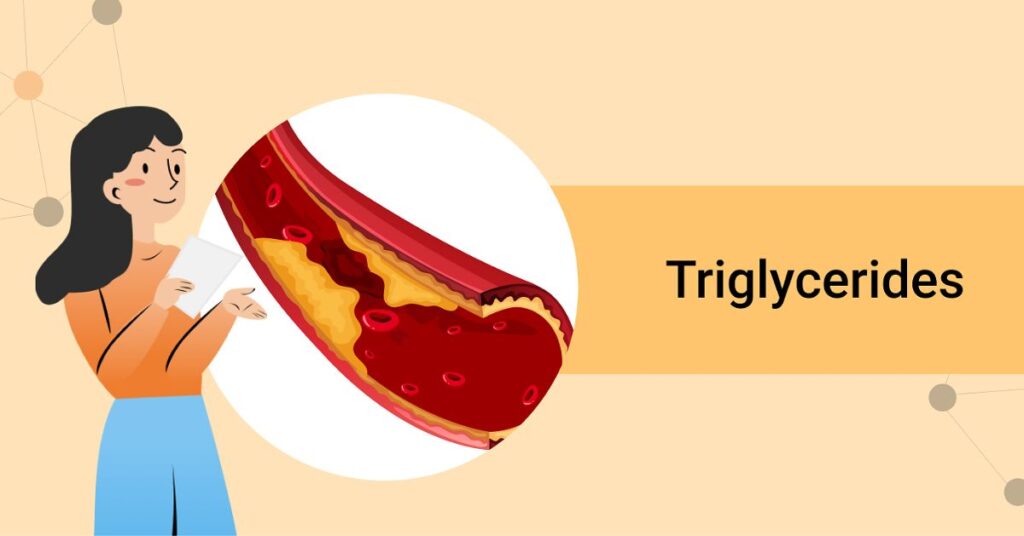 What Are Triglycerides, and Why Should You Care?