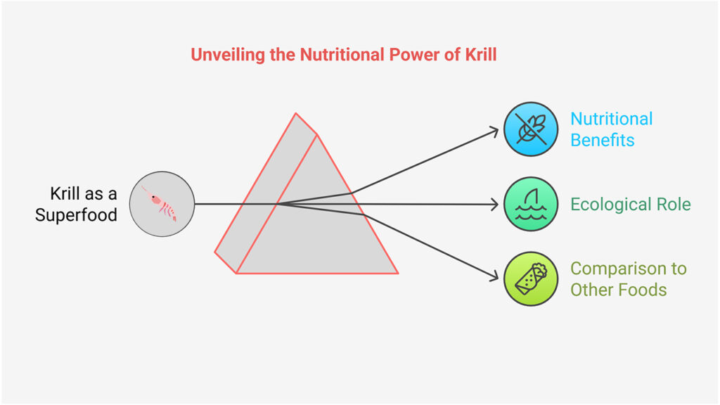 Why Krill is a Sustainable Seafood Choice