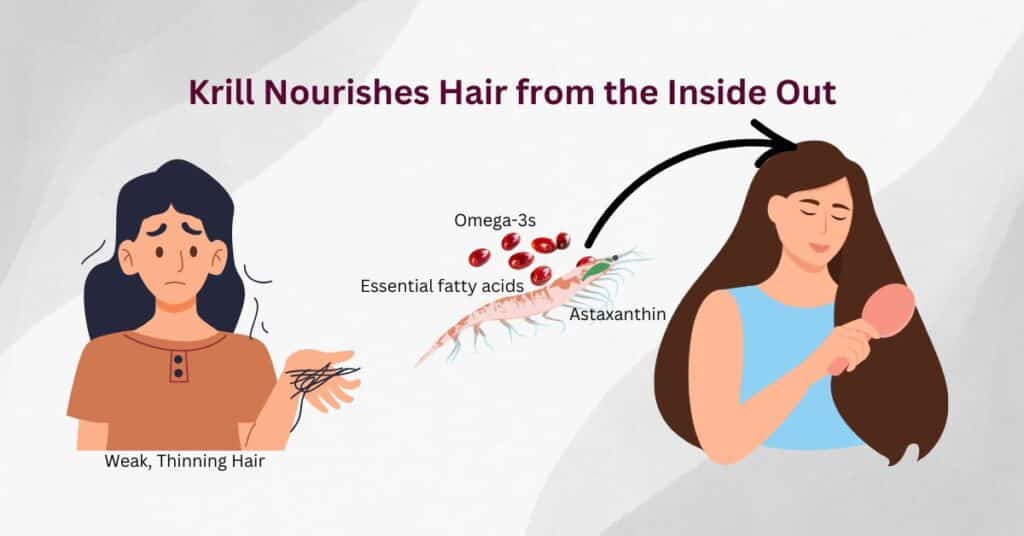 Weak, Thinning Hair? Krill Nourishes Hair from the Inside Out