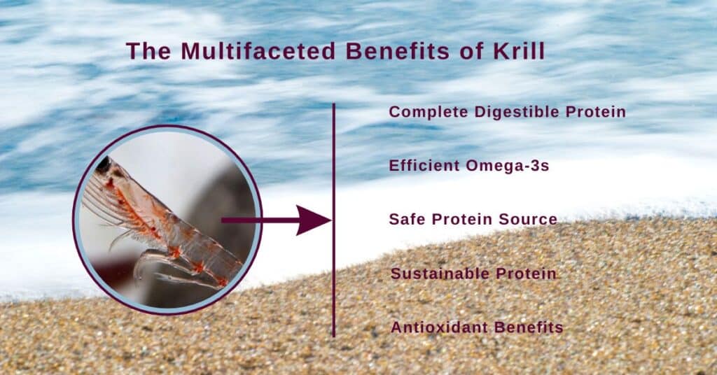 What Makes Krill a Game-Changing Protein?