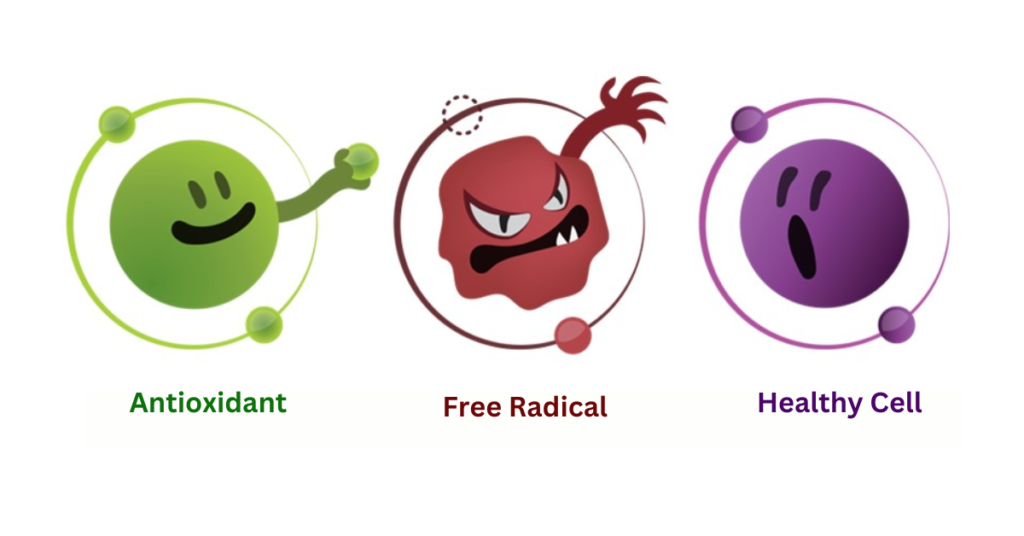 What are antioxidants, and how it work?