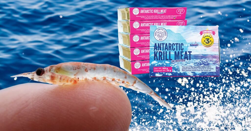 How Krill Can Revolutionize the Future of Sustainable Seafood