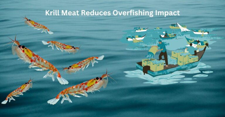 Krill Meat Reduces Overfishing Impact