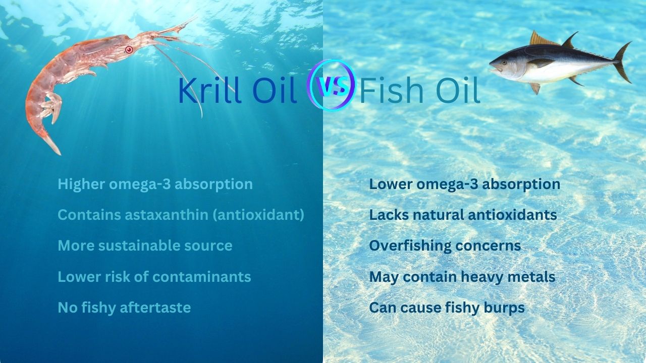 Krill Oil vs. Fish Oil: A Better Omega-3 Source