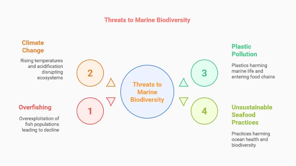 The Importance of Marine Biodiversity and Why It’s Under Threat