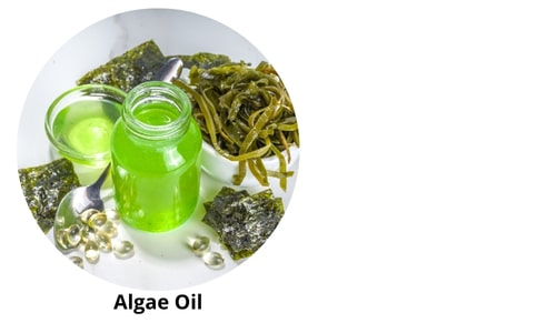 Close-up of Algae Oil ingredients: A small glass jar filled with vibrant green liquid sits center-stage, surrounded by translucent omega-3 capsules, fresh seaweed strands, and dried kelp sheets. A silver spoon rests beside the jar, positioned over a white plate with a circular cutout framing the scene. The arrangement highlights the natural, sustainable sources of algae-based supplements against a clean, minimalist backdrop.