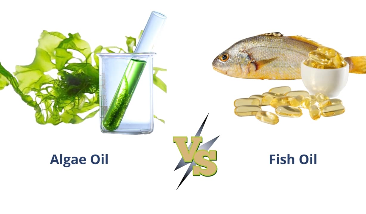 Algae Oil vs. Fish Oil Comparison: A split-image showcasing Algae Oil (left) with a clear beaker containing a green liquid and a test tube surrounded by seaweed, versus Fish Oil (right) featuring a golden fish, a white bowl filled with yellow liquid, and scattered omega-3 capsules. The center displays a bold 'VS' with a lightning bolt graphic, emphasizing the contrast between the two oils.
