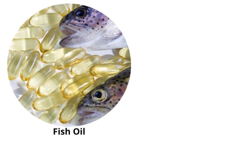 "Close-up of Fish Oil supplements: A cluster of golden-yellow omega-3 capsules encircles a fresh, silvery fish head with intricate scale patterns. The translucent capsules reveal the rich, pure oil inside, set against a minimalist white backdrop. The circular composition emphasizes the connection between the fish and its derived oil, highlighting the natural, sustainable source of marine-based nutrients.