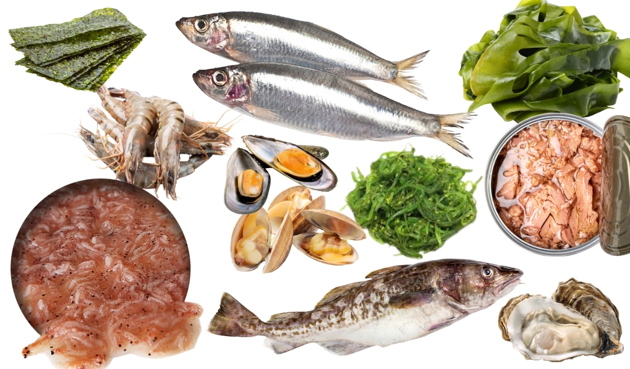 Top Seafood Rich in Iodine: Seaweed, sardines, shrimp, mussels, clams, cod, canned tuna, and oysters.