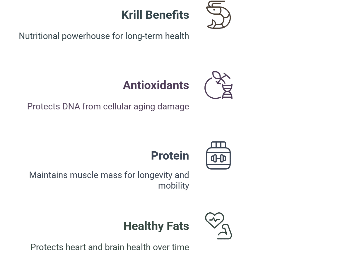 Boosting Longevity and Cellular Health