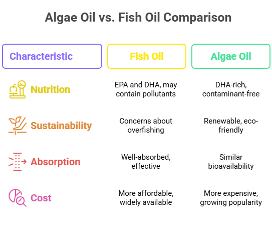 Algae Oil vs. Fish Oil Comparison Chart : A black-background infographic with three columns labeled 'Characteristic,' 'Fish Oil' (yellow border), and 'Algae Oil' (green border). Four rows detail key factors: Nutrition (measuring cup icon), Sustainability (leaf icon), Absorption (arrow-through-pipe icon), and Cost (dollar-sign icon). The visual contrasts the nutritional profiles, environmental impact, bioavailability, and affordability of fish oil versus algae oil, using vibrant icons and color-coded headers for clarity.