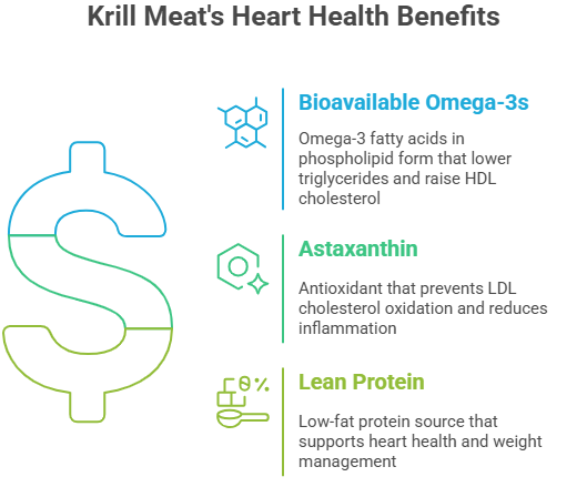 Infographic on Krill Meat's Heart Health Benefits: Bioavailable Omega-3s lower triglycerides & raise HDL, Astaxanthin reduces LDL oxidation & inflammation, Lean Protein supports heart health